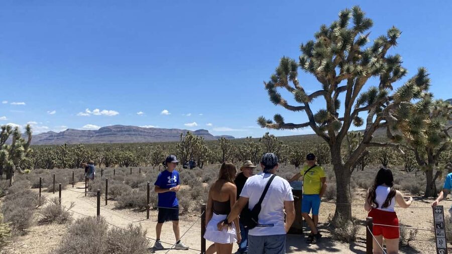 Las Vegas: Grand Canyon Helicopter & Ranch Adventure by Bus - Hoover Dam from the bypass bridge