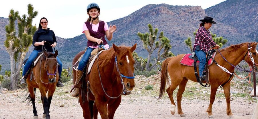 Las Vegas: Grand Canyon Ranch Tour with Horseback/Wagon Ride - Choosing the covered wagon