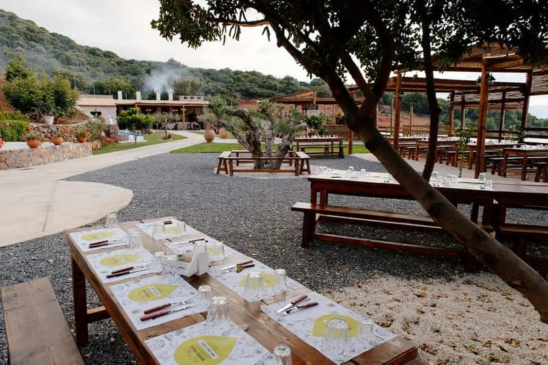 Lassithi, Zeus Cave, Olive Mill Farm & Knossos Combo Tour - Krasi village and its ancient plane tree