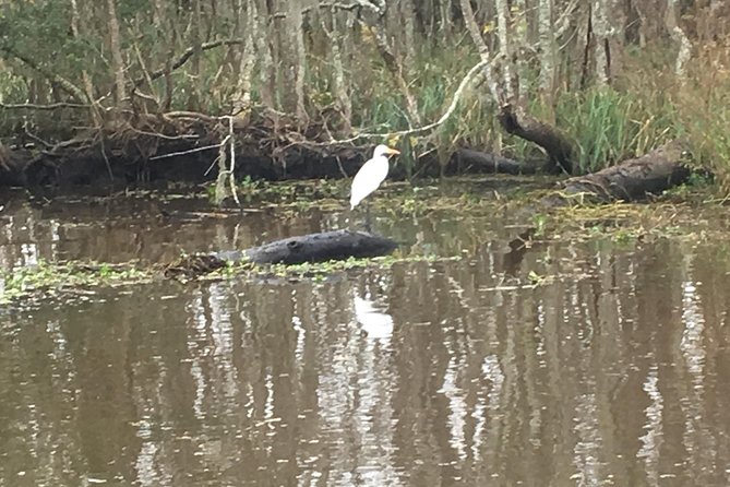 Laura Plantation and Airboat Tour Combo with Hotel Pickup - What the day feels like from start to finish