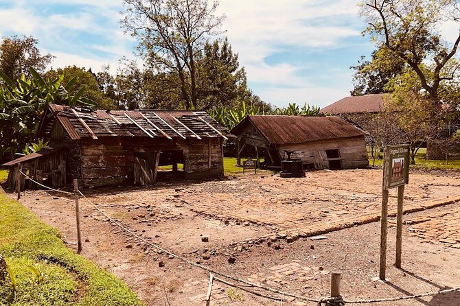 Laura Plantation Half-Day Tour from New Orleans - Why Laura Plantation feels different from a standard plantation tour