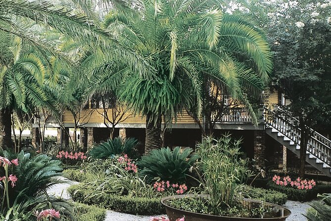 Laura Plantation Half-Day Tour from New Orleans - Oak trees, plantation surroundings, and the ride home