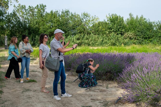 Lavender Harvesting and Distillation Workshop in Bellegarde - Key points to know before booking