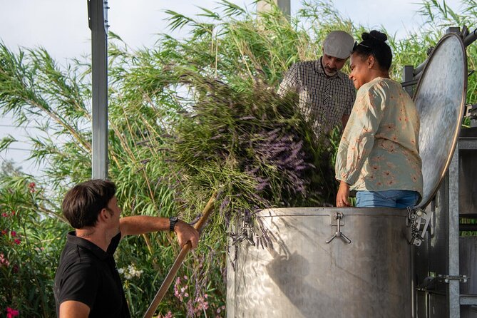 Lavender Harvesting and Distillation Workshop in Bellegarde - Loading the plants into the still