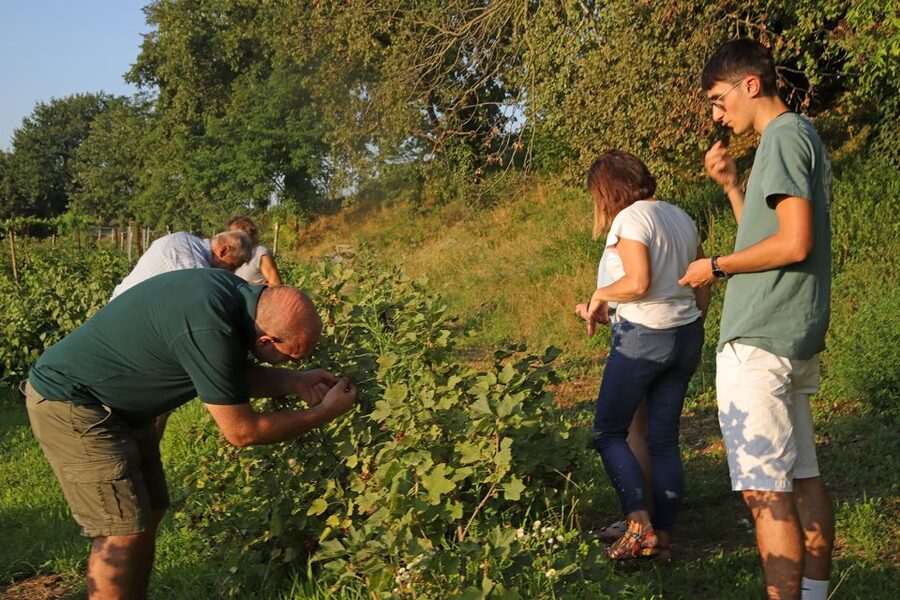 Lazise: Beekeeping Farm Tour and Tasting Experience - Practical planning for your two hours