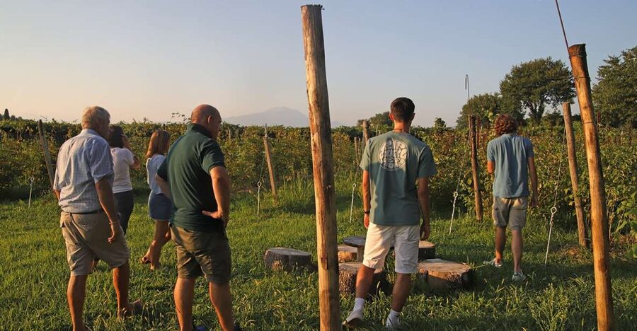 Lazise: Beekeeping Farm Tour and Tasting Experience - Finding the farm near Colà di Lazise