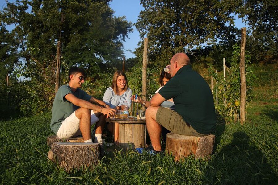 Lazise: Beekeeping Farm Tour and Tasting Experience - Three honeys, three different flavors