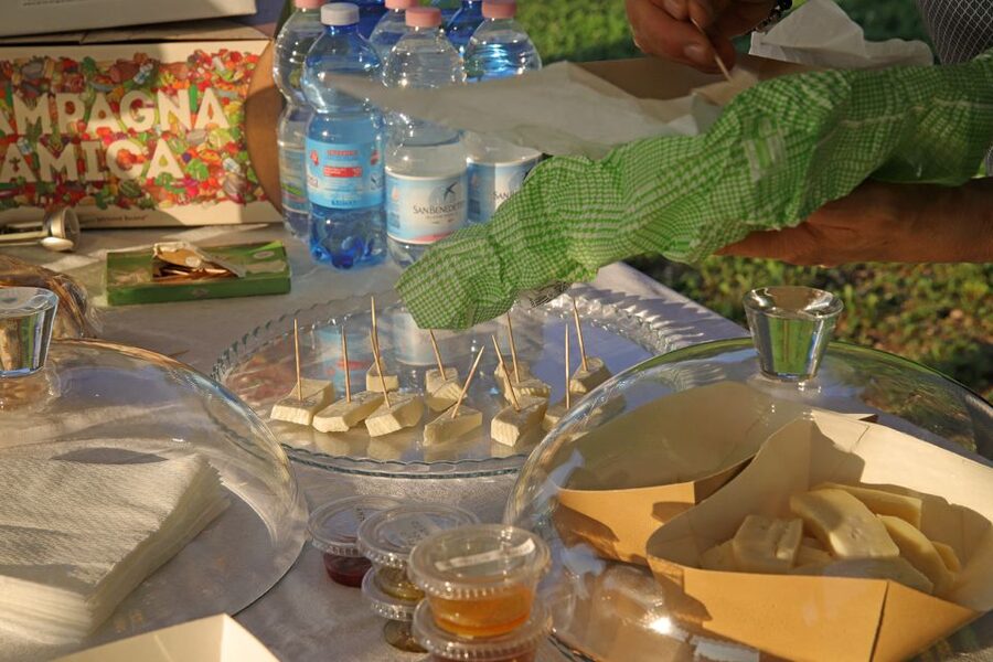 Lazise: Beekeeping Farm Tour and Tasting Experience - What happens if the weather turns bad
