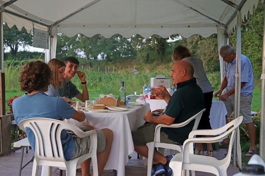 Lazise: Beekeeping Farm Tour and Tasting Experience - The $46 price and what you receive
