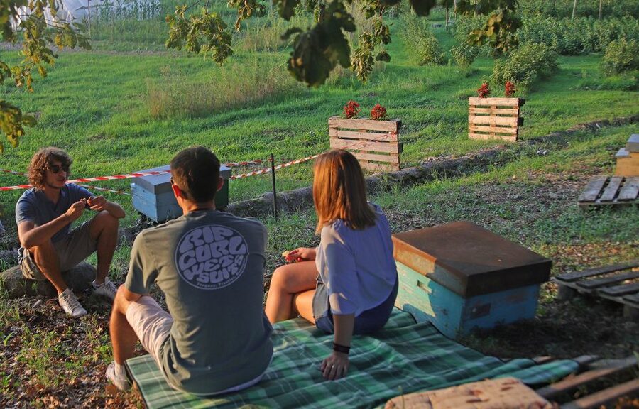 Lazise: Beekeeping Farm Tour and Tasting Experience - Who should book this experience