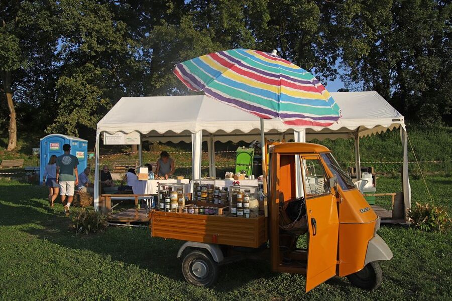 Lazise: Beekeeping Farm Tour and Tasting Experience - Learning how bees make honey