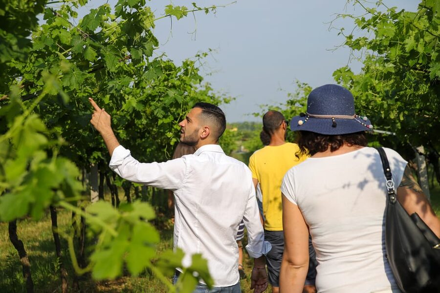 Lazise: Biodynamic Farm Tour and Natural Wine Tasting - Key points to know before booking