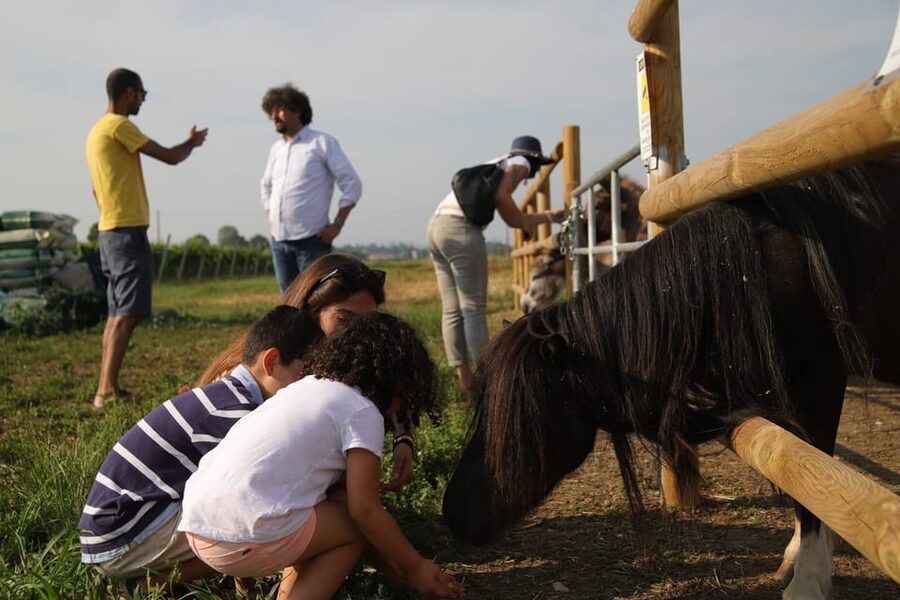 Lazise: Biodynamic Farm Tour and Natural Wine Tasting - Who will enjoy this farm visit most?