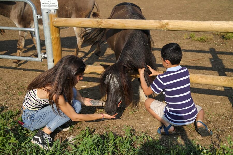 Lazise: Biodynamic Farm Tour and Natural Wine Tasting - Walking through the vineyards and farm