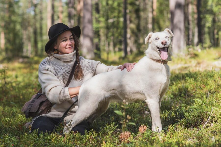 Levi: Horse and Husky Farm Visit with Juice and Cookies - Meeting the animals at Muoniontie 955