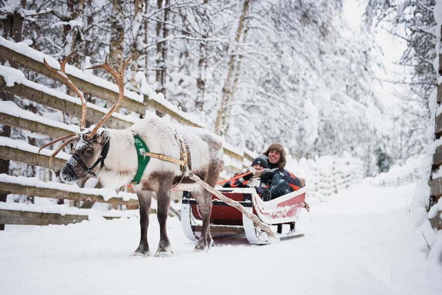 Levi: Husky and Reindeer Farm Tour with Sled Ride - Key points to know before booking