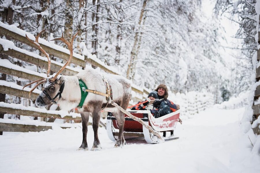 Levi: Husky and Reindeer Farm Visit with Snowmobiling - A fast taste of Lapland, with three very different rides