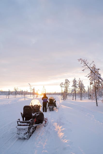 Levi: Husky and Reindeer Farm Visit with Snowmobiling - Hot juice and a welcome pause