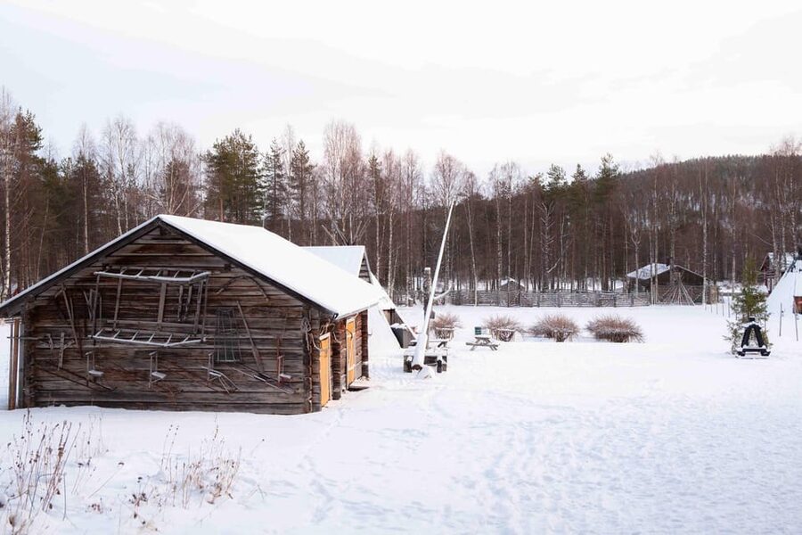 Levi: Reindeer Farm E-Fatbike Safari - Meeting the reindeer at the farm