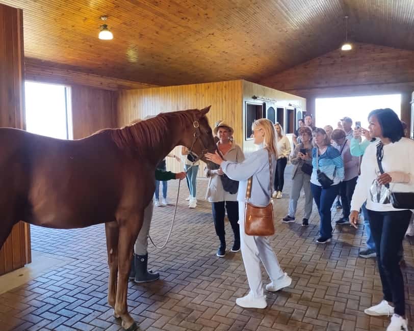 Lexington: Thoroughbred Horse Farm Tour and Scenic Bluegrass - Key points before you book