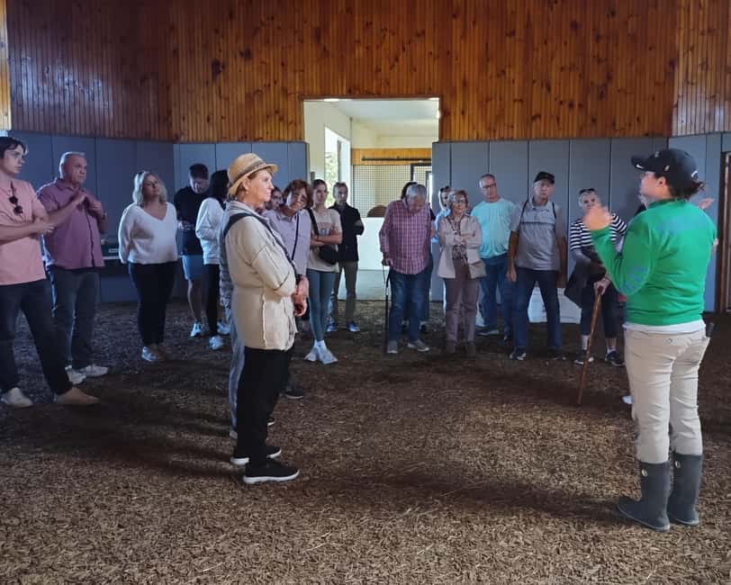 Lexington: Thoroughbred Horse Farm Tour and Scenic Bluegrass - Should you book the Lexington horse farm tour?