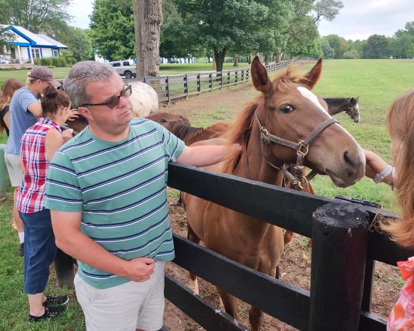 Lexington: Thoroughbred Horse Farm Tour and Scenic Bluegrass - Why Lexington’s horse country is worth your morning