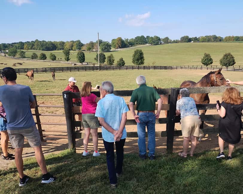 Lexington: Thoroughbred Horse Farm Tour and Scenic Bluegrass - Keeneland Race Course and the movie locations