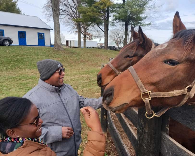 Lexington: Thoroughbred Horse Farm Tour and Scenic Bluegrass - How the guides turn horse racing into a story