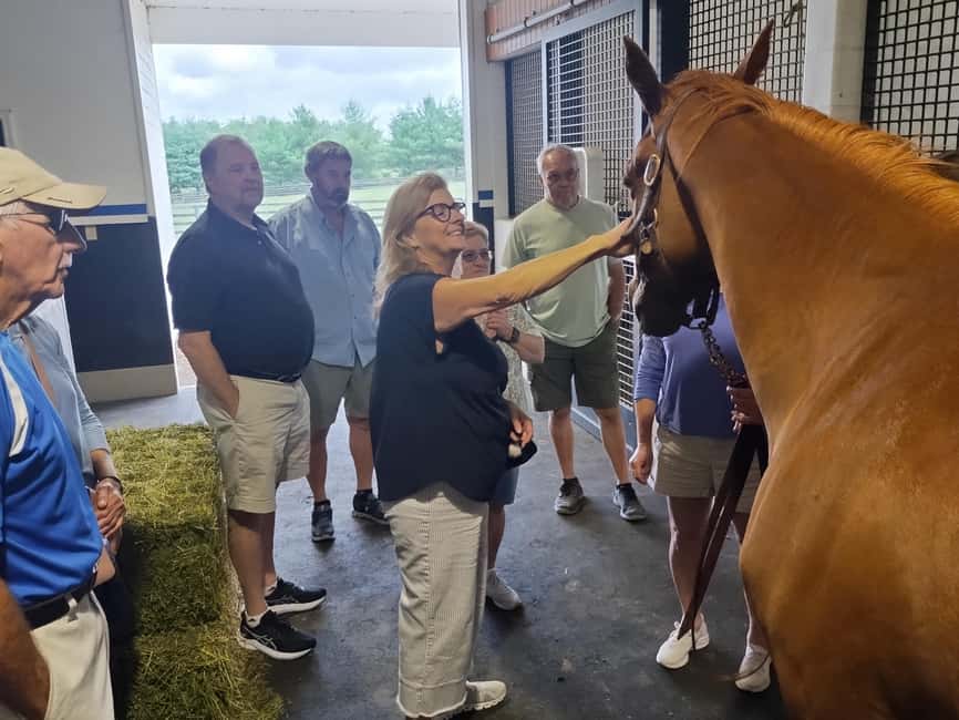 Lexington: Thoroughbred Horse Farm Tour and Scenic Bluegrass - Is $45 a good value?