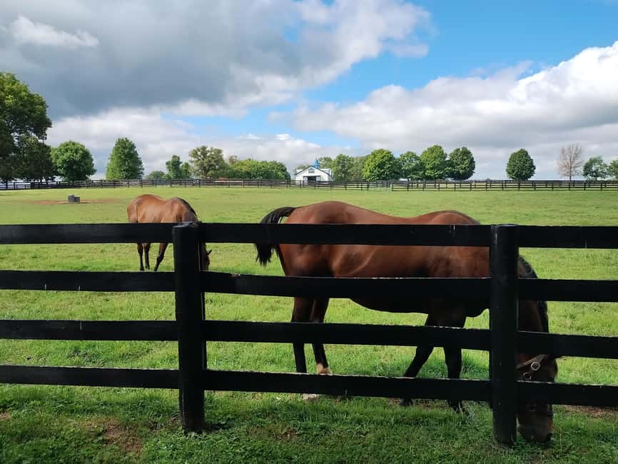 Lexington: Thoroughbred Horse Farm Tour and Scenic Bluegrass - Who will enjoy this tour most?