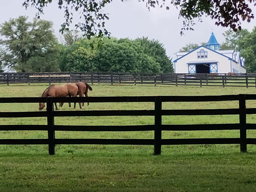 Lexington: Thoroughbred Horse Farm Tour and Scenic Bluegrass - The 14-passenger van and the route from Waller Avenue