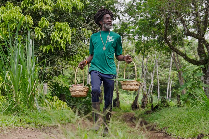 Liamuiga Natural Farm Tour - St.Kitts' Coffee Farm - Arriving at a coffee farm in the rainforest