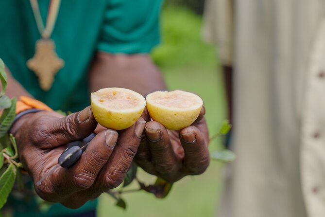 Liamuiga Natural Farm Tour - St.Kitts' Coffee Farm - Who will enjoy this St. Kitts farm visit?