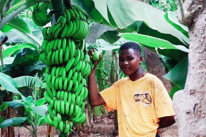 Like Locals: Banana Plantation, and Cuscuz with locals - Key points to know before booking