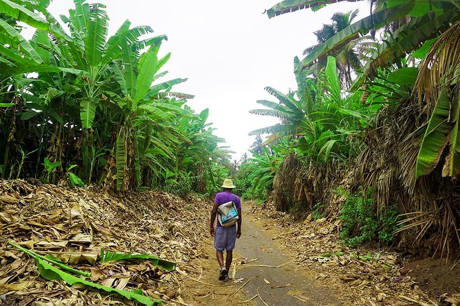 Like Locals: Banana Plantation, and Cuscuz with locals - From Praia to Santa Cruz by road