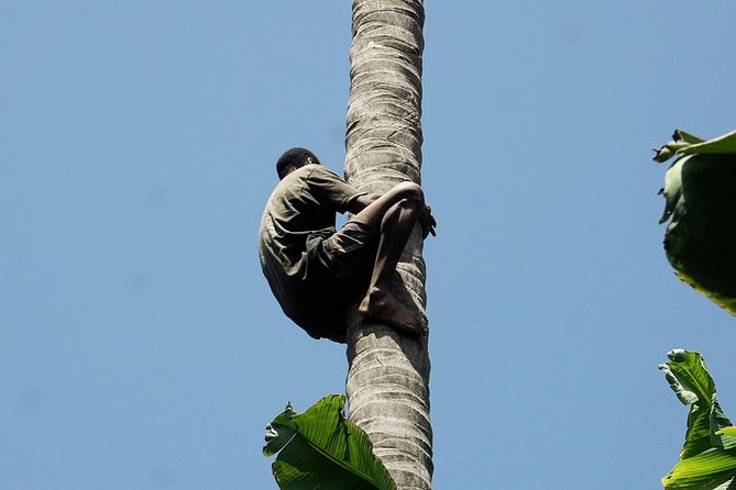 Like Locals: Banana Plantation, and Cuscuz with locals - Cooking cuscuz and fidjós in Orgãos