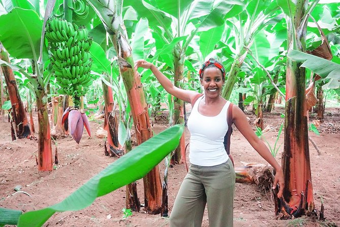Like Locals: Banana Plantation, and Cuscuz with locals - The scenic return through rocks and valleys