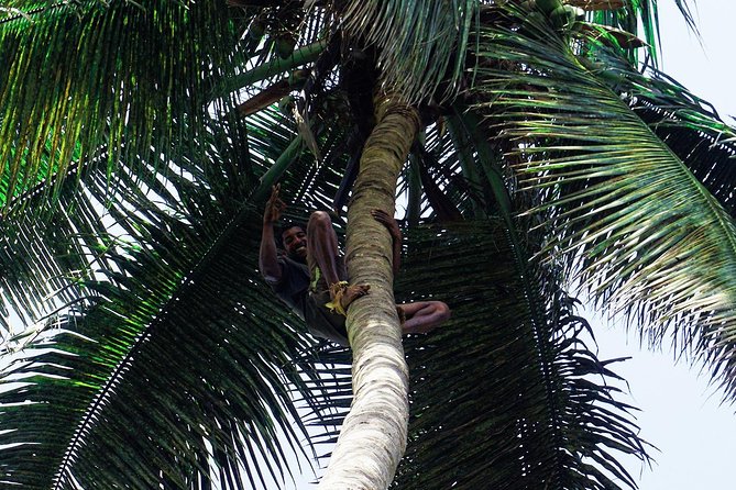 Like Locals: Banana Plantation, and Cuscuz with locals - Who will enjoy this half-day outing