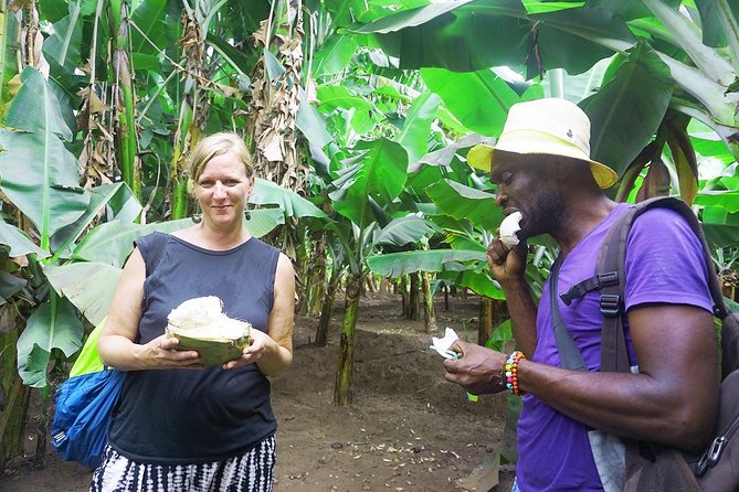 Like Locals: Banana Plantation, and Cuscuz with locals - My verdict: book it for the kitchen, not just the plantation