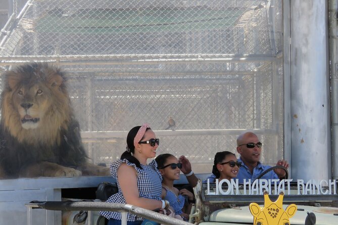 Lion Habitat Ranch Admission Ticket in Las Vegas - Timing your visit around active animals