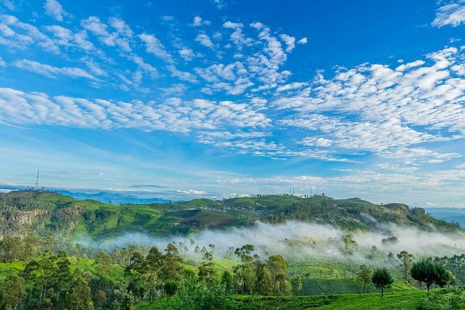 Lipton's Seat and Tea Factory,Trail Amidst Tea Plantation Day Tour - Key points to know before booking