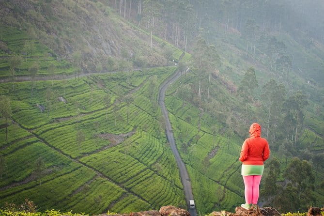 Lipton's Seat and Tea Factory,Trail Amidst Tea Plantation Day Tour - Reaching Lipton’s Seat by private tuk-tuk