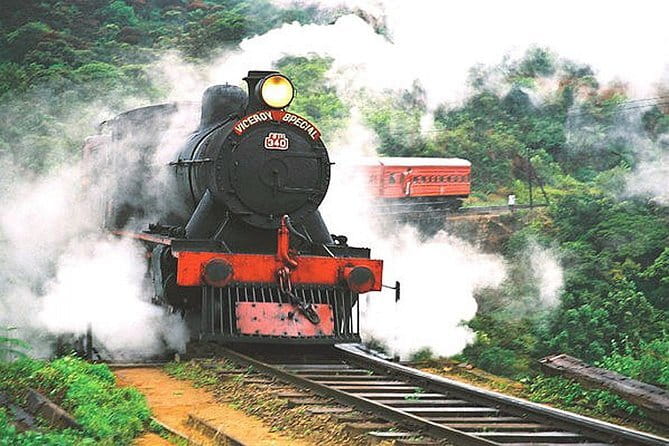 Lipton's Seat and Tea Factory,Trail Amidst Tea Plantation Day Tour - Who will enjoy this experience most?