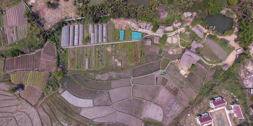 Living Land Farm Rice Experience - Why this farm visit feels different from ordinary sightseeing