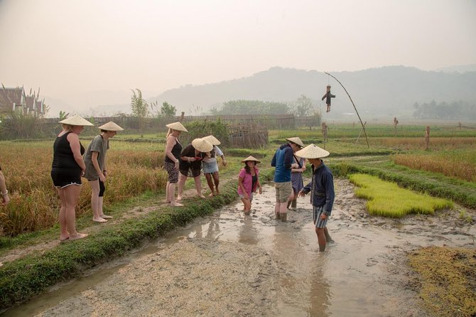 Living Land Rice Farming Experience - Starting in the Rice Fields