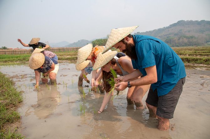 Living Land Rice Farming Experience - Adding Waterfalls or Caves