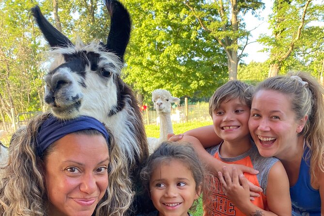Llama/Alpaca Hike and Farm Tour - Guiding your own llama or alpaca
