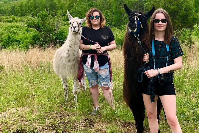 Llama/Alpaca Hike and Farm Tour - What the $67 price includes