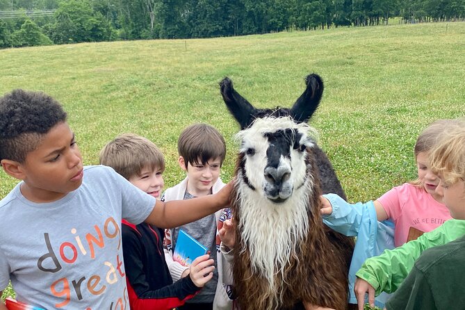 Llama/Alpaca Hike and Farm Tour - Who will enjoy this farm walk