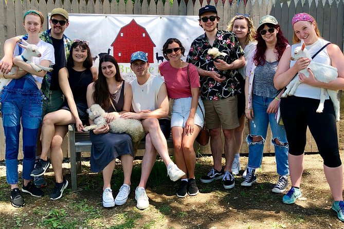 Llama/Alpaca Hike and Farm Tour - A thoughtful choice for first-time animal handlers